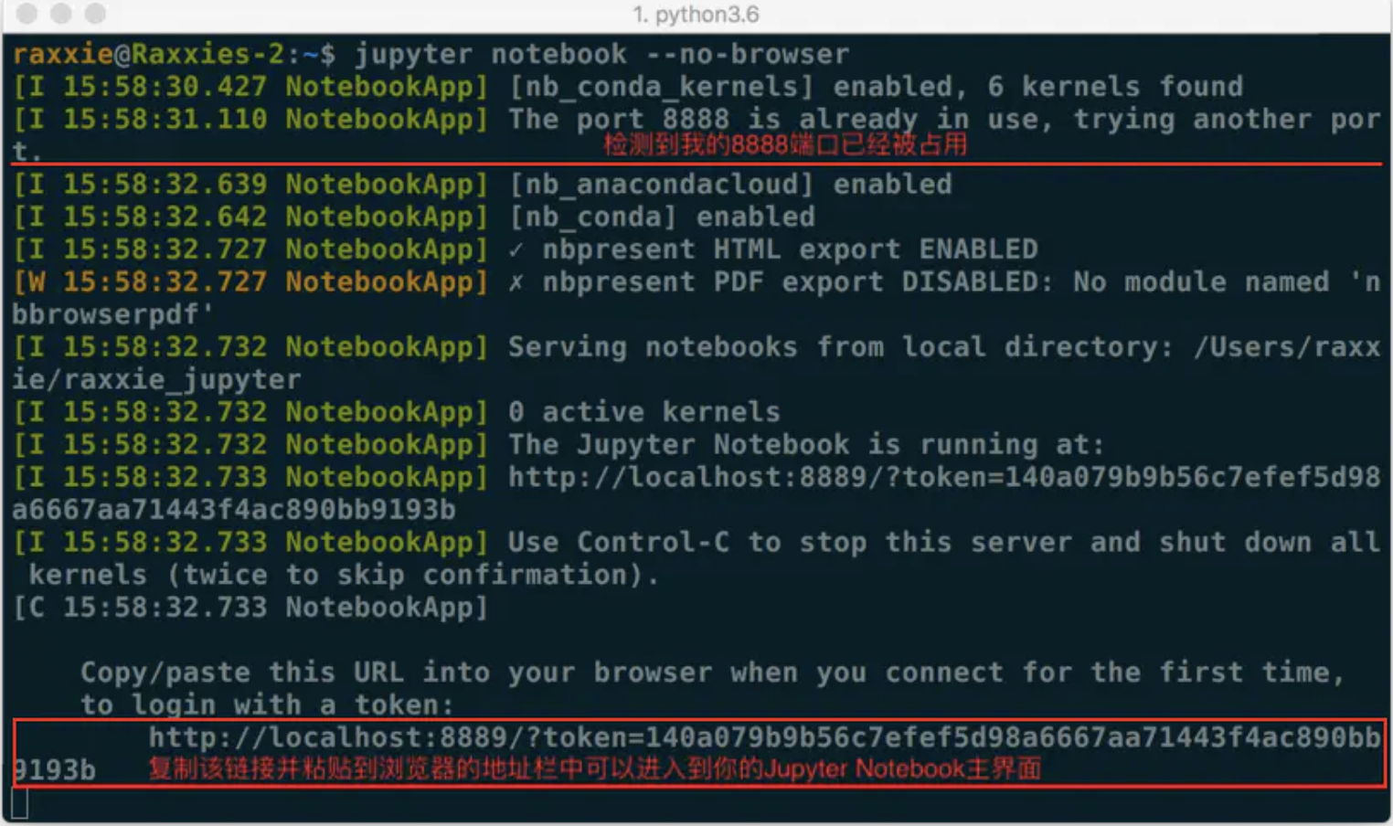 image-20211124140143430